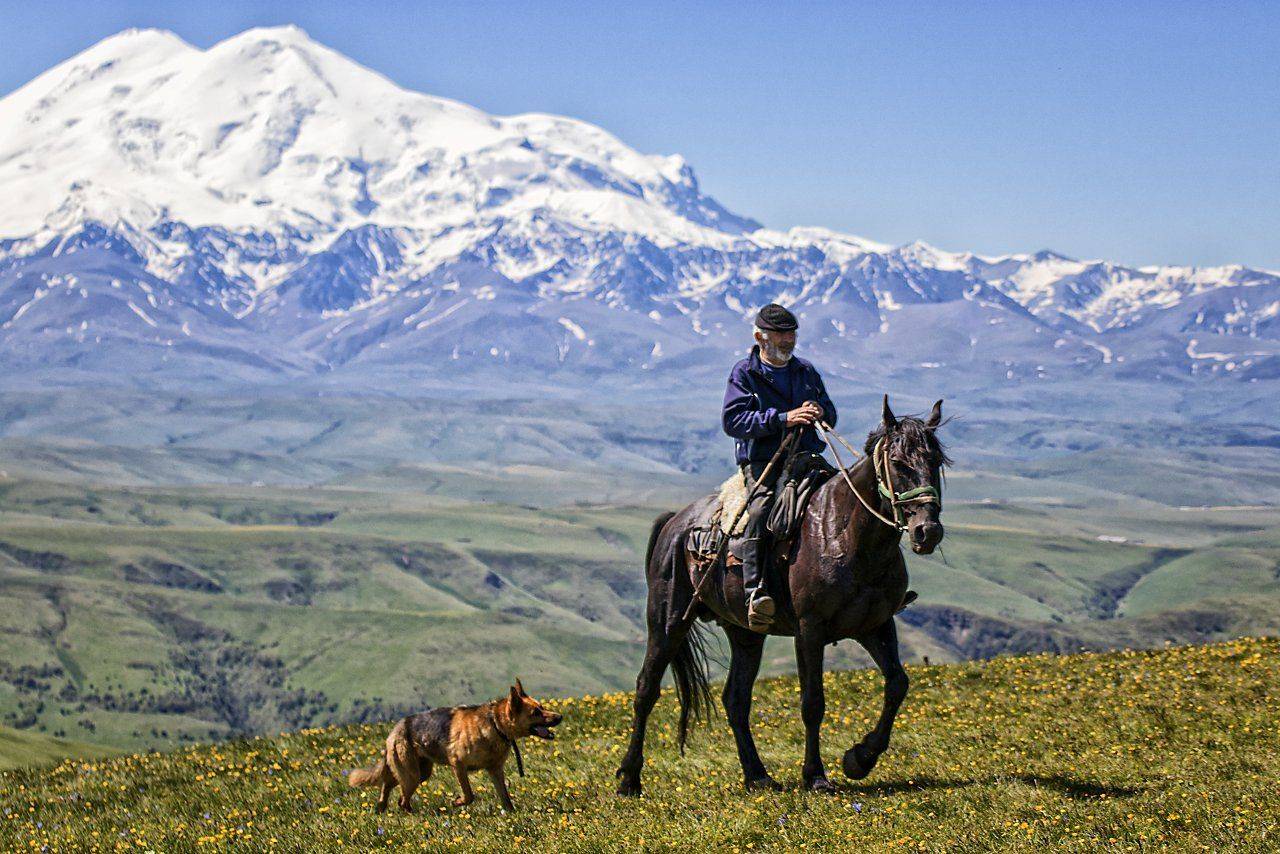кавказ,пастух,лошадь,собака,эльбрус., Анатолий Салтыков