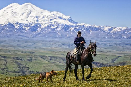 Пастух или два Эльбруса.