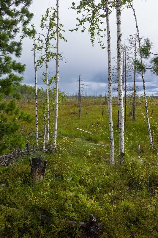 БВБ фото превью