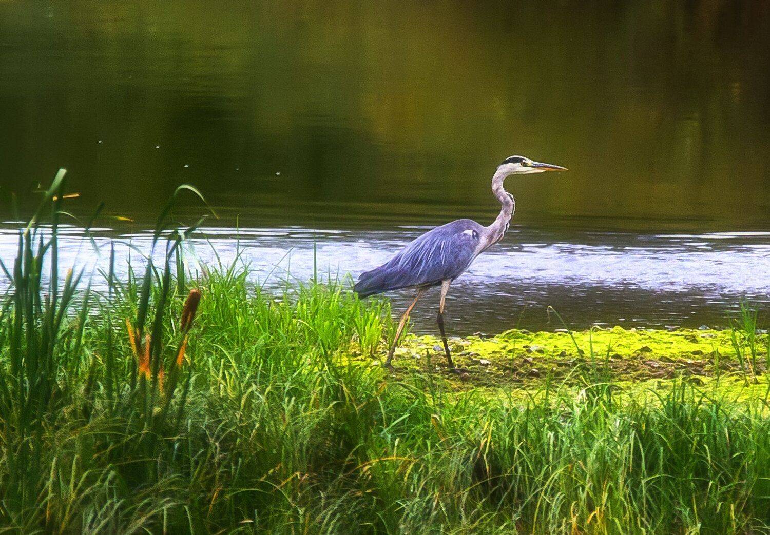 , Павел Сагайдак