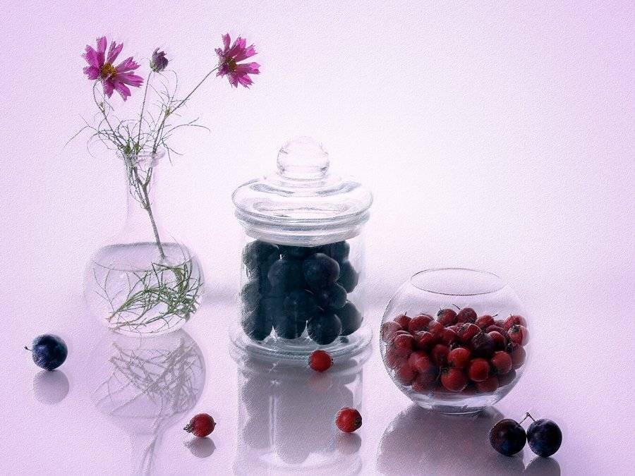 , Анжелика Королева