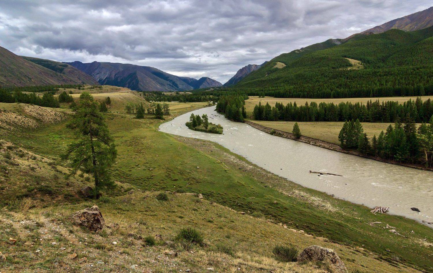 , Дмитрий Д.