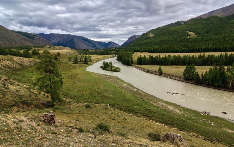 Чуя фото превью