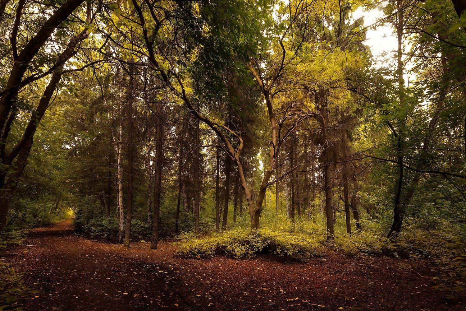 , Иващин Александр