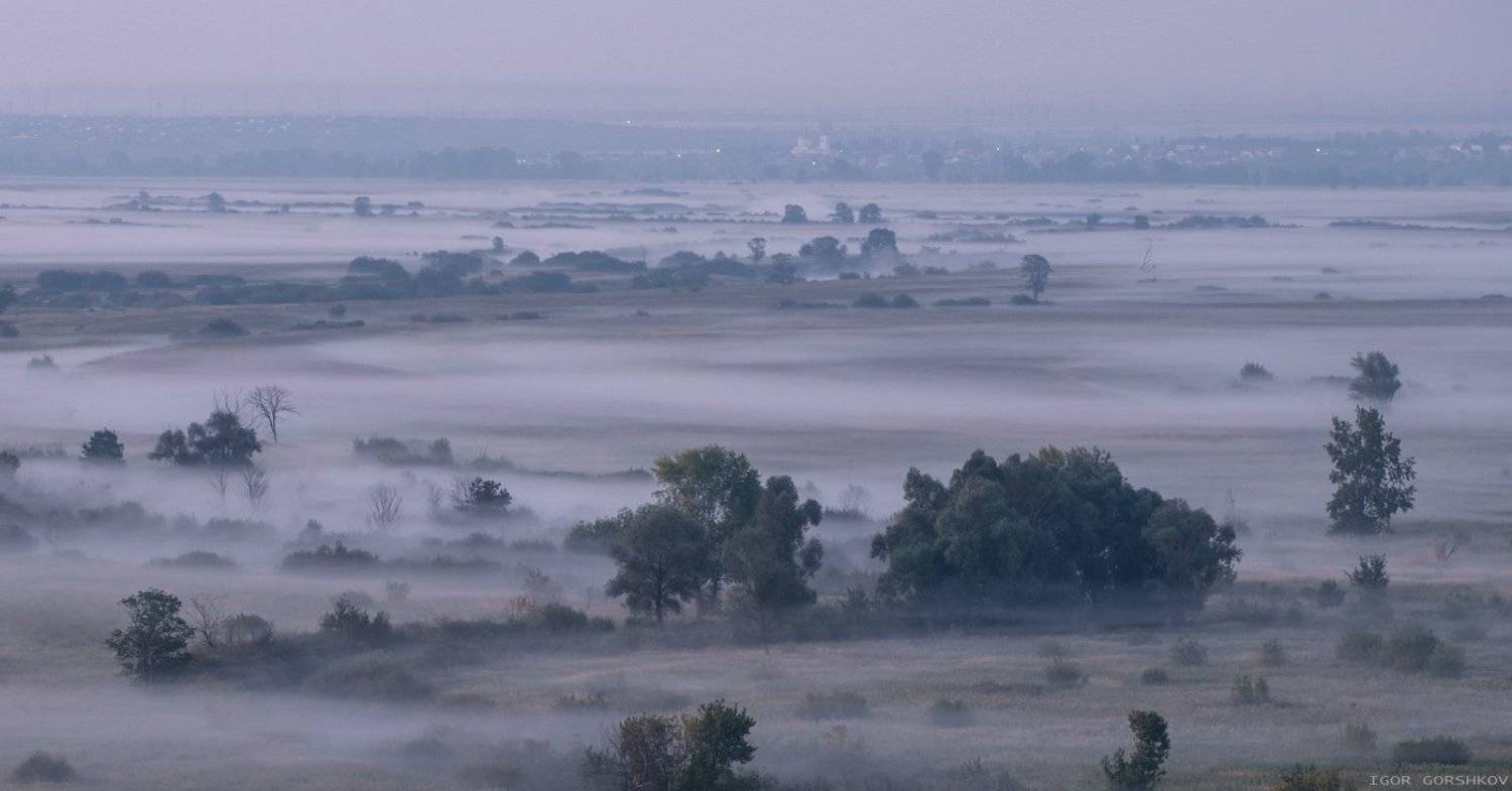 утро,туман,нижняя кама,сумерки,река,природа,деревья,лето,елабуга,татарстан, Горшков Игорь