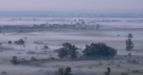 Туманная планета