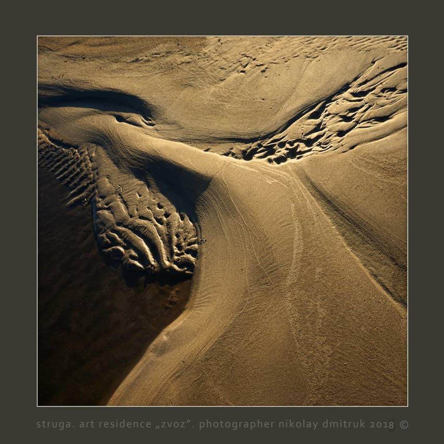 без, категории, николай дмитрук