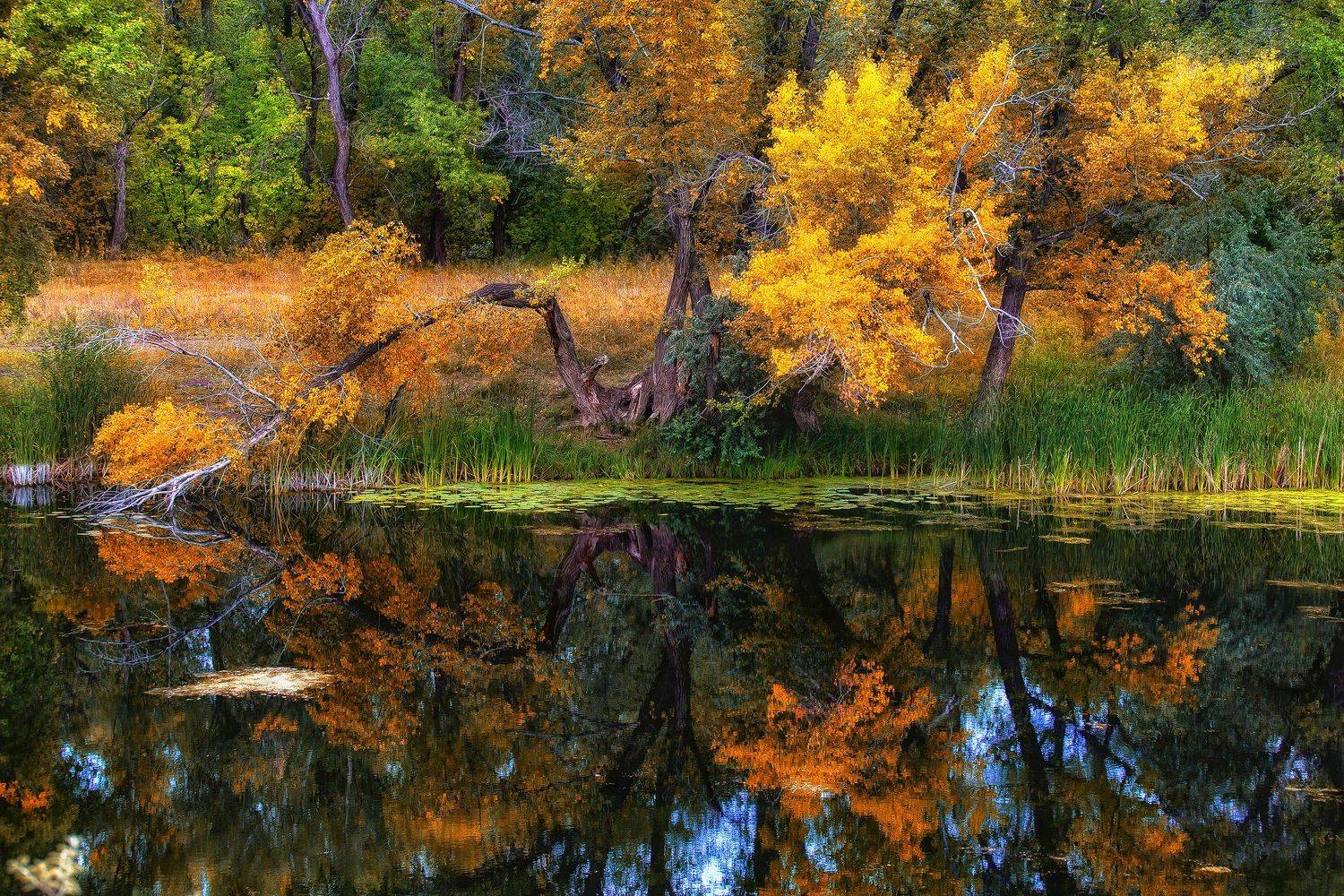 , Павел Сагайдак