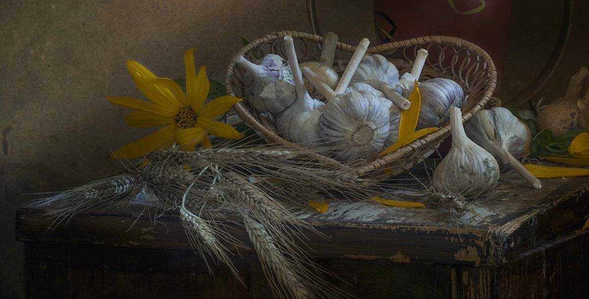 натюрморт,чеснок, Елена Рубинская