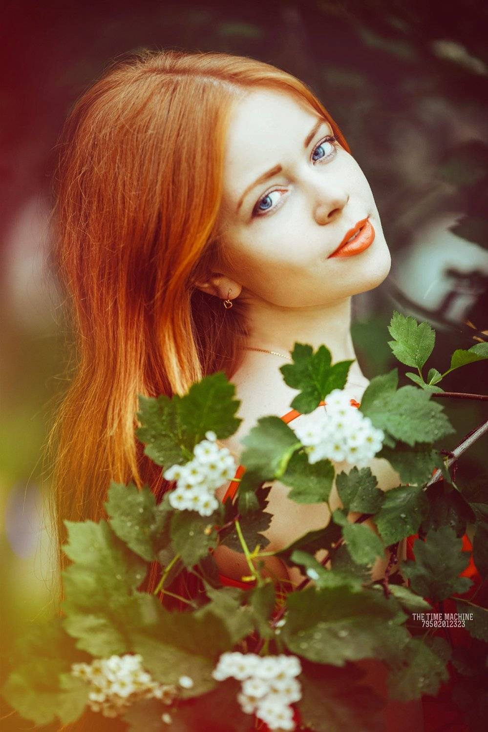, Михаил Бове