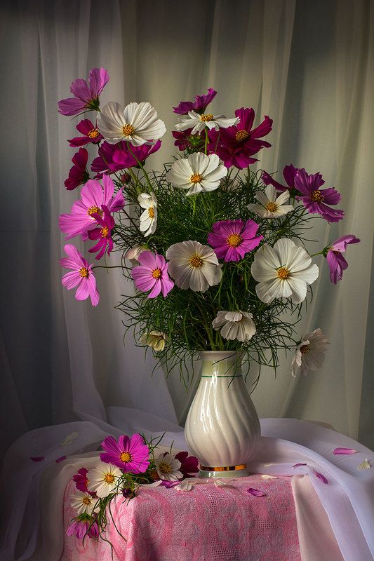 художественное фото,искусство,фотонатюрморт,летние цветы. Нежный букетик космеи. фото превью