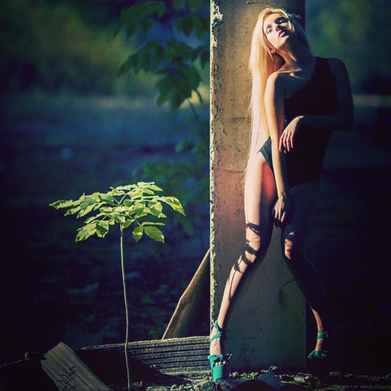 фото превью