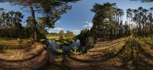 Ритмичный летний пейзаж с лесной рекой