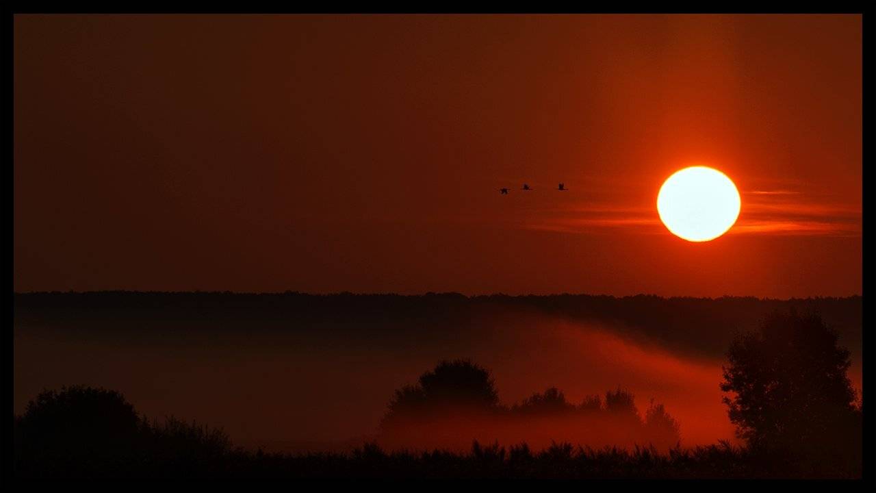 , Валерий Субачев