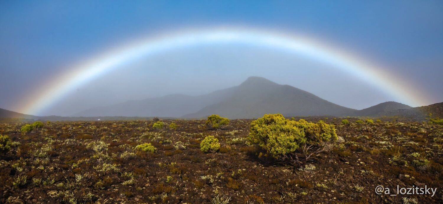 , Александр Лозицкий