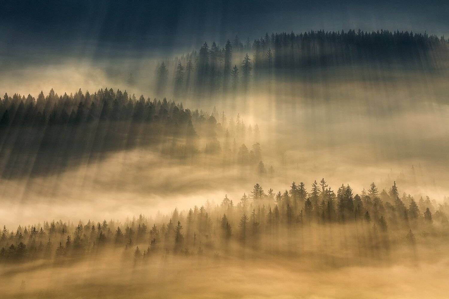 landscape,canon,mist,light,autumn, Iza i Darek Mitręga