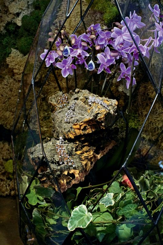 stilllife Still life фото превью