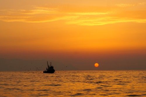 Sunset and fishers