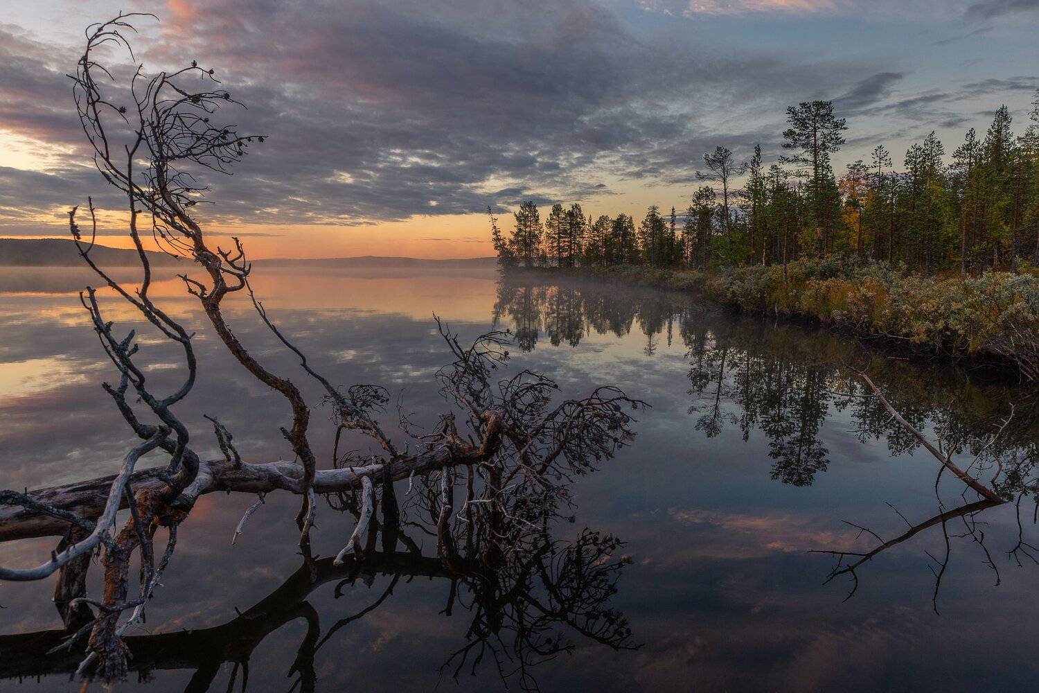 ###, Evalds Kivlenieks