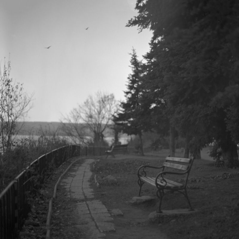 medium, format, 6x6, black, &, white, b&w, park, noir Bench фото превью