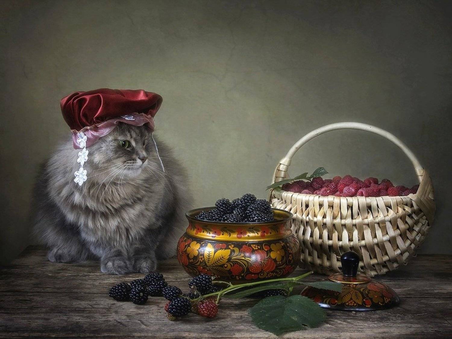 домашние животные, кошка Масяня, малина, ежевика, осень, Ирина Приходько