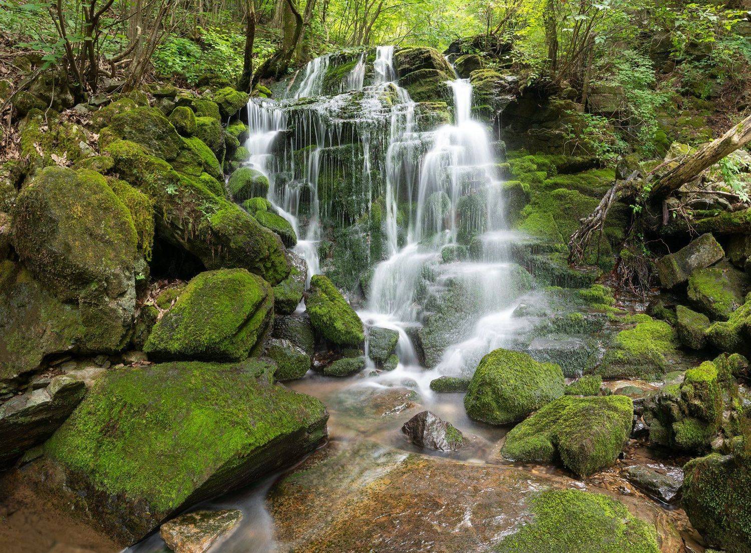 Outdoor, wasserfall, moss, Jaeyoun Ryu