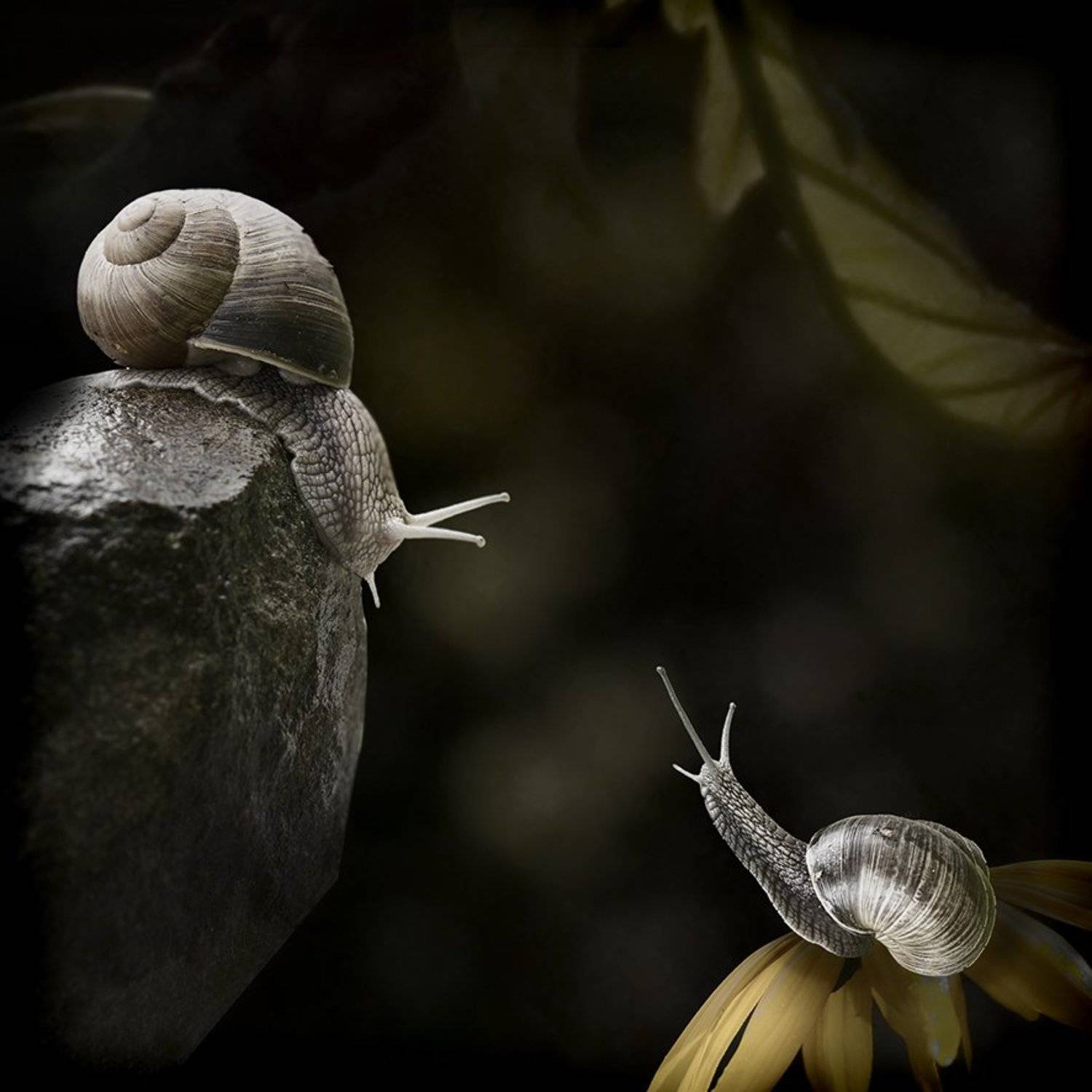 , T. Bondarenko