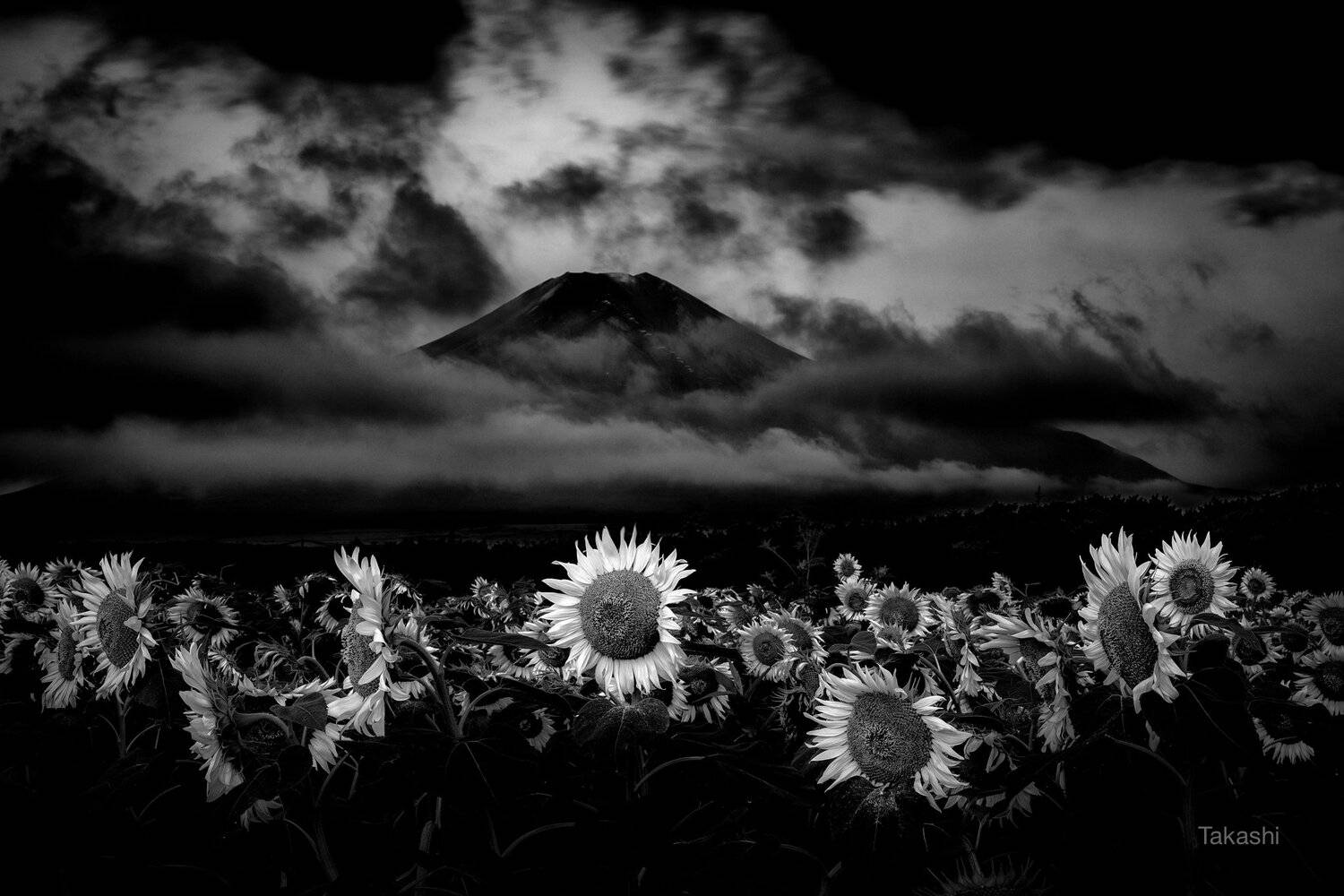 fuji,mountain,closer,japan,sunflower,cloud,amazing,, Takashi