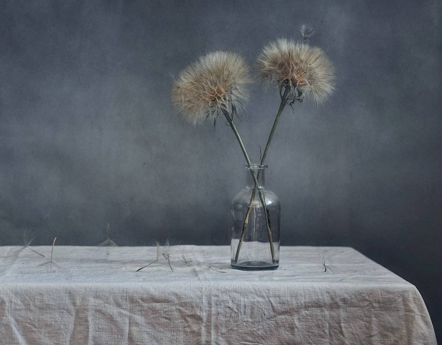 натюрморт,козлобородник,одуваны, Наталия К