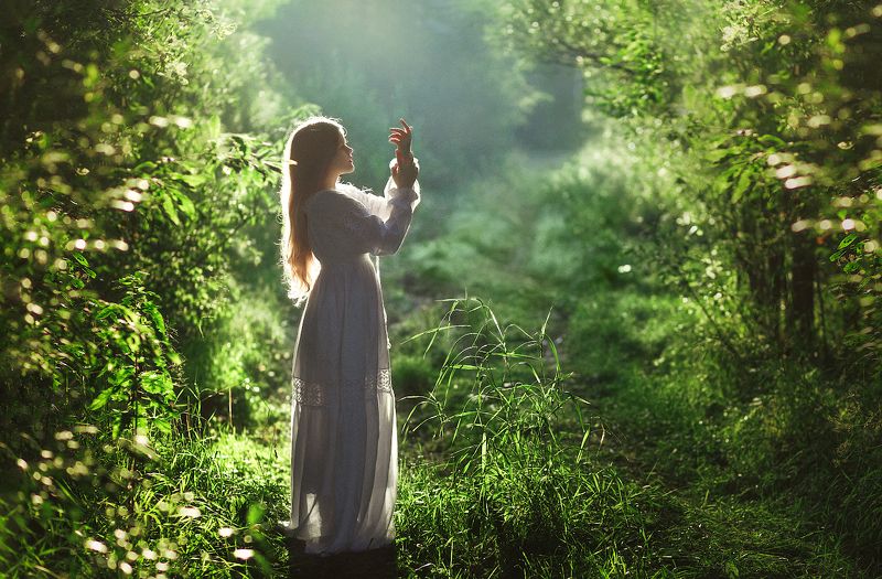 Firefly фото превью