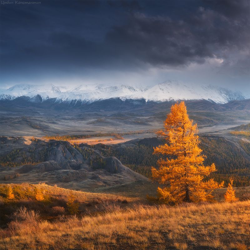 Алтай, Курай, Чуя, горы, осень Алтай. Осень в курайской степи. фото превью