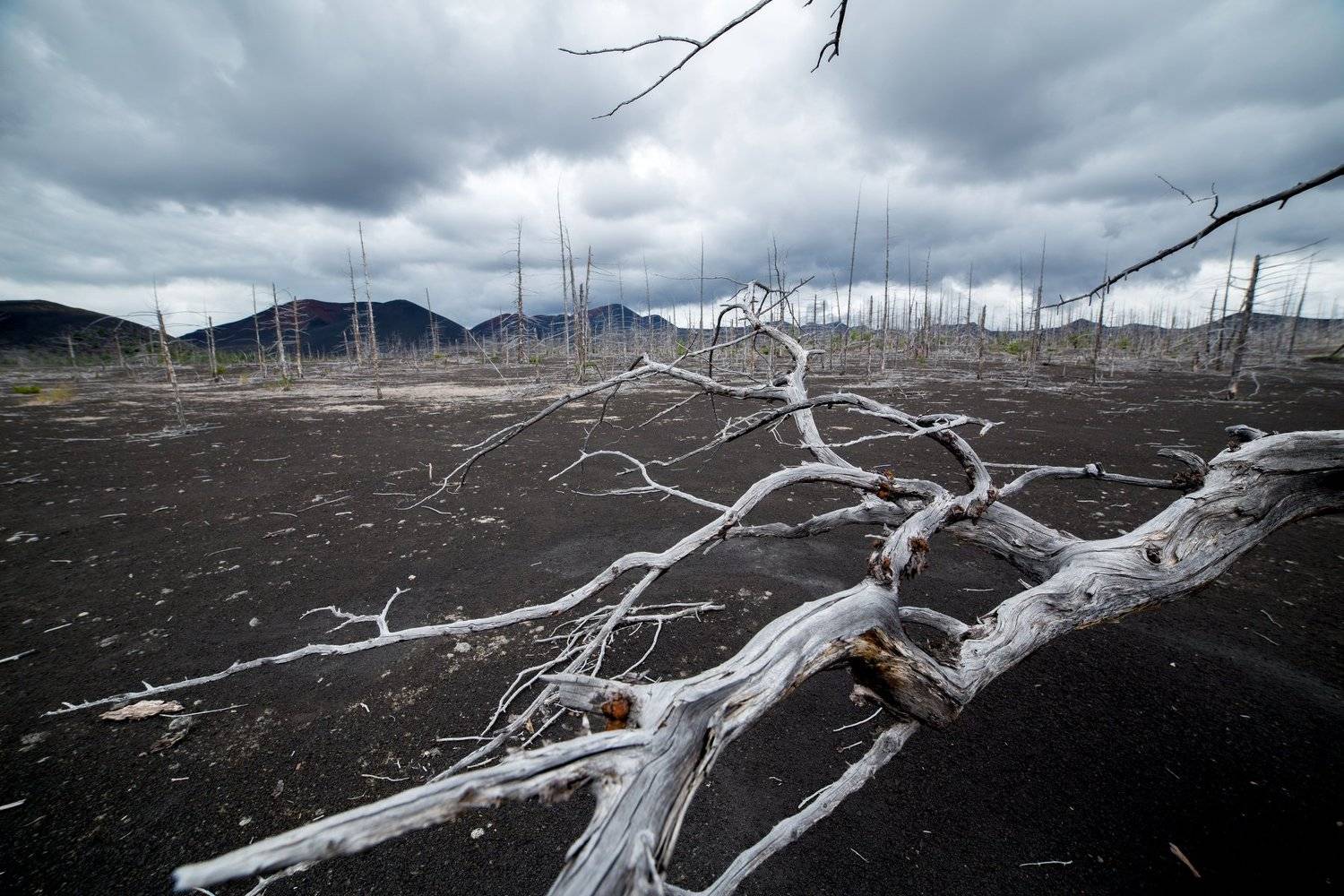 Камчатка, Россия, Valera Stepanyuk