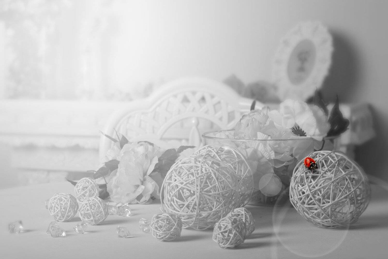 божья коровка, ч/б, стол, день, Sergii Vidov