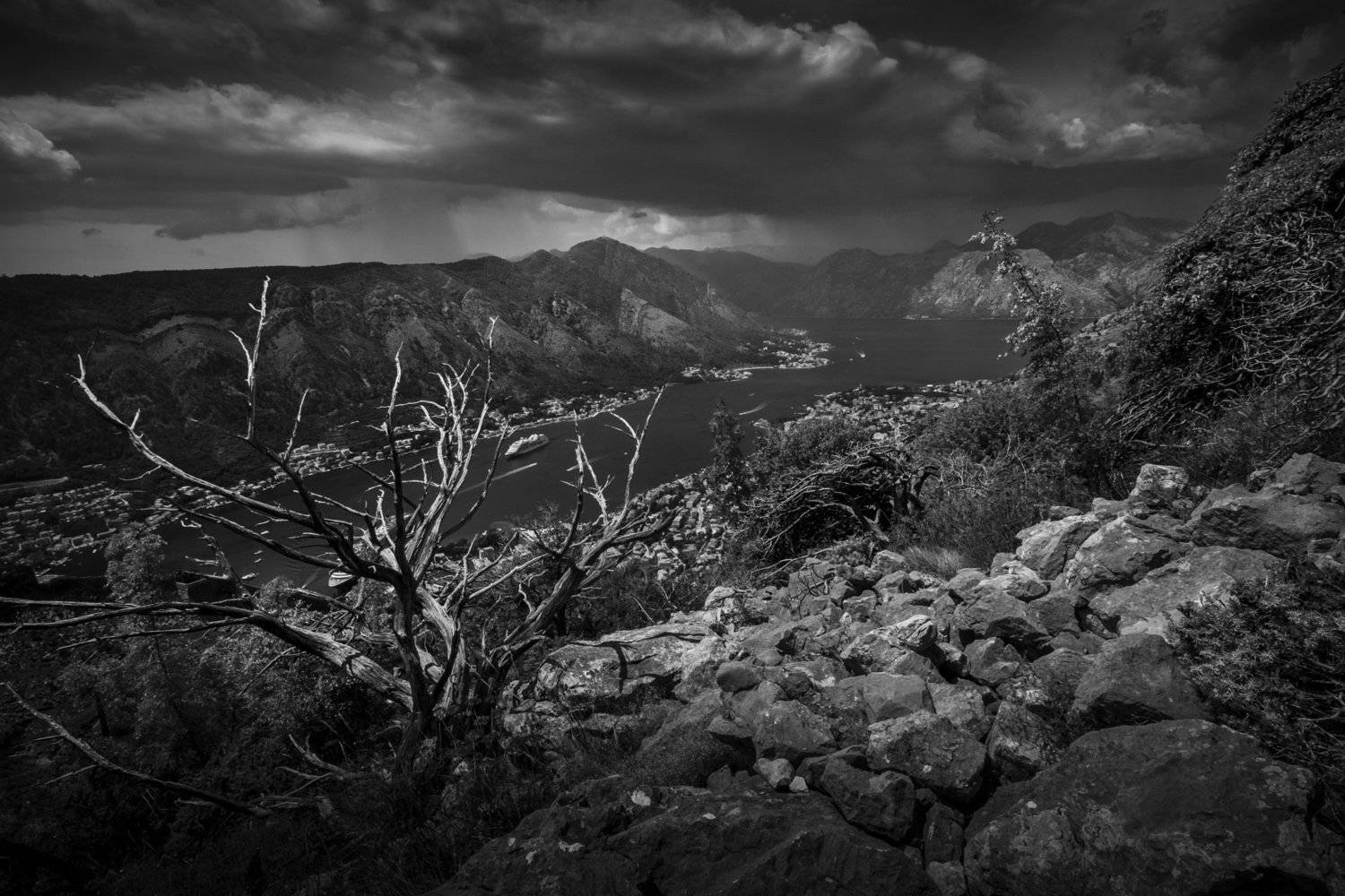 , Антон Денисенко