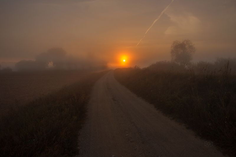 Catch up the sun фото превью