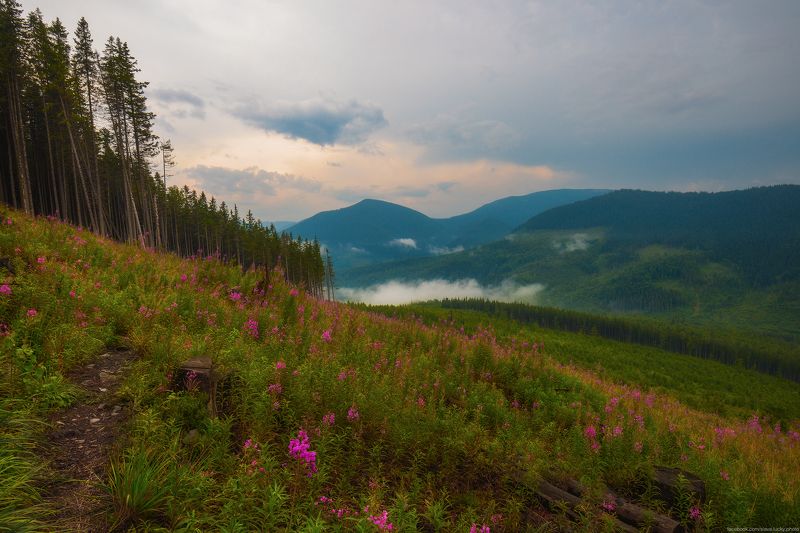 После грозы фото превью