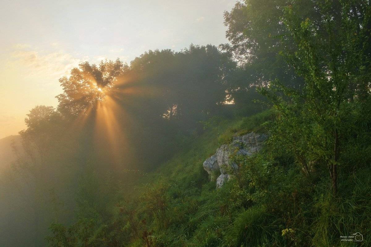 карпаты., украина., зима., пейзаж., снег., карпатский., гора., красивый., небо., природа., дерево., холод., мороз., путешествия., белый., сезон., ель., лес., фон., снежный., горы., зимний., утро., отдых., солнце., лед., изморозь., иней., сцена., синий., с, Леонид Морозов