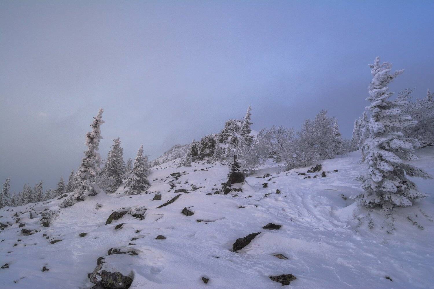 , Андрей Шарапов