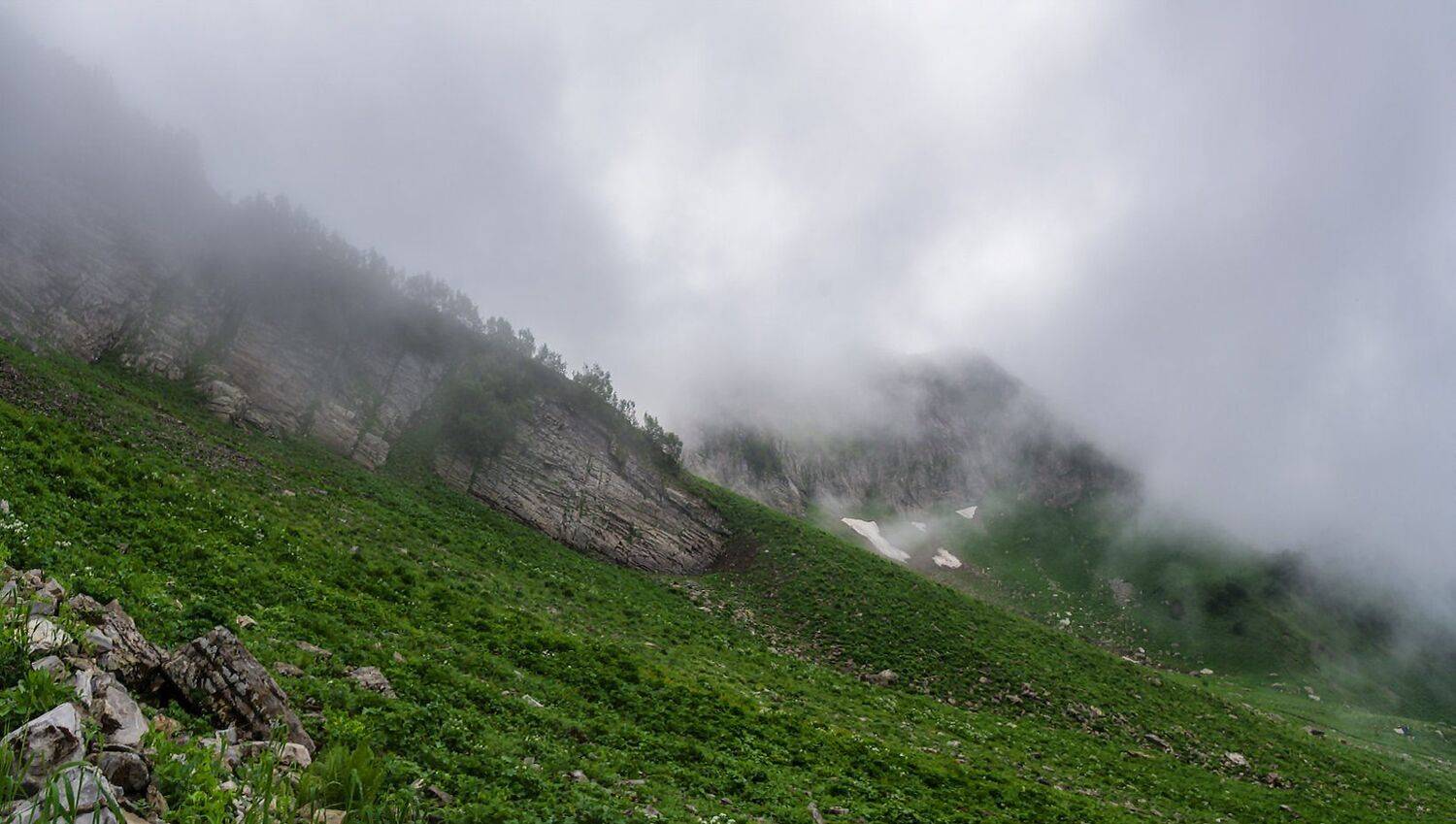 , Игорь Мелекесцев