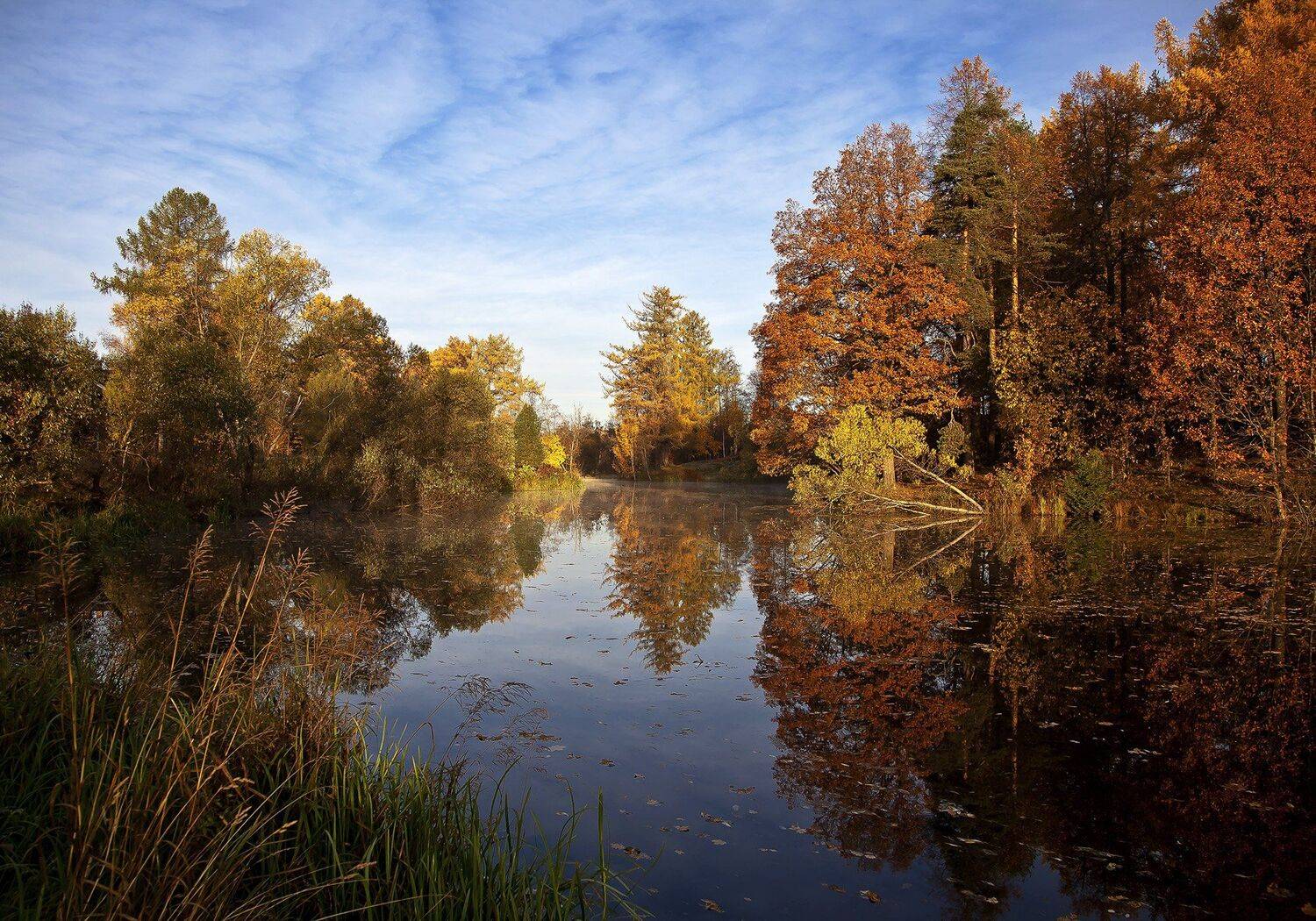 осень, парк, листва, пруд, Александр Игнатьев