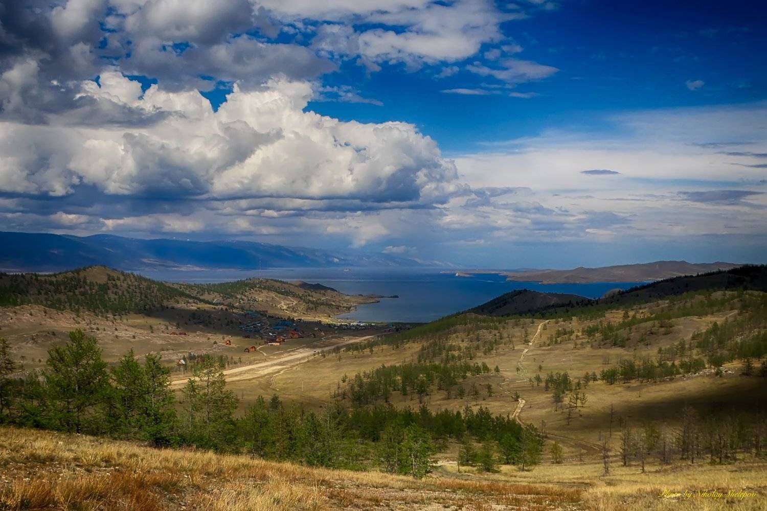 , Николай Шелепов