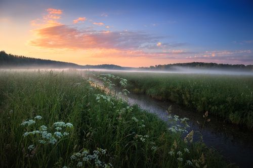 Рассвет в июне