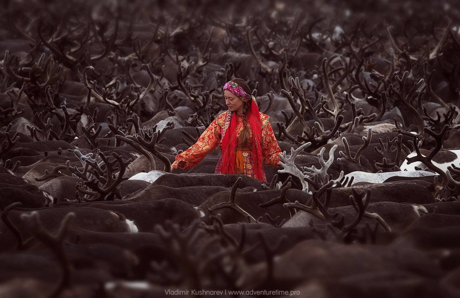 , Vladimir Kushnarev