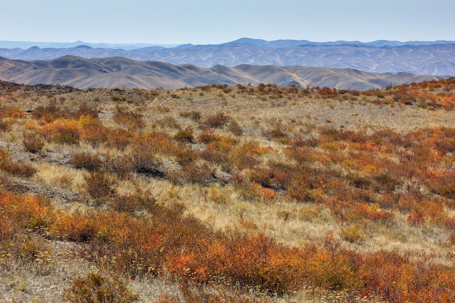 орск, оренбургская, обл., качурин, новотроицк, южный, урал, Качурин Алексей