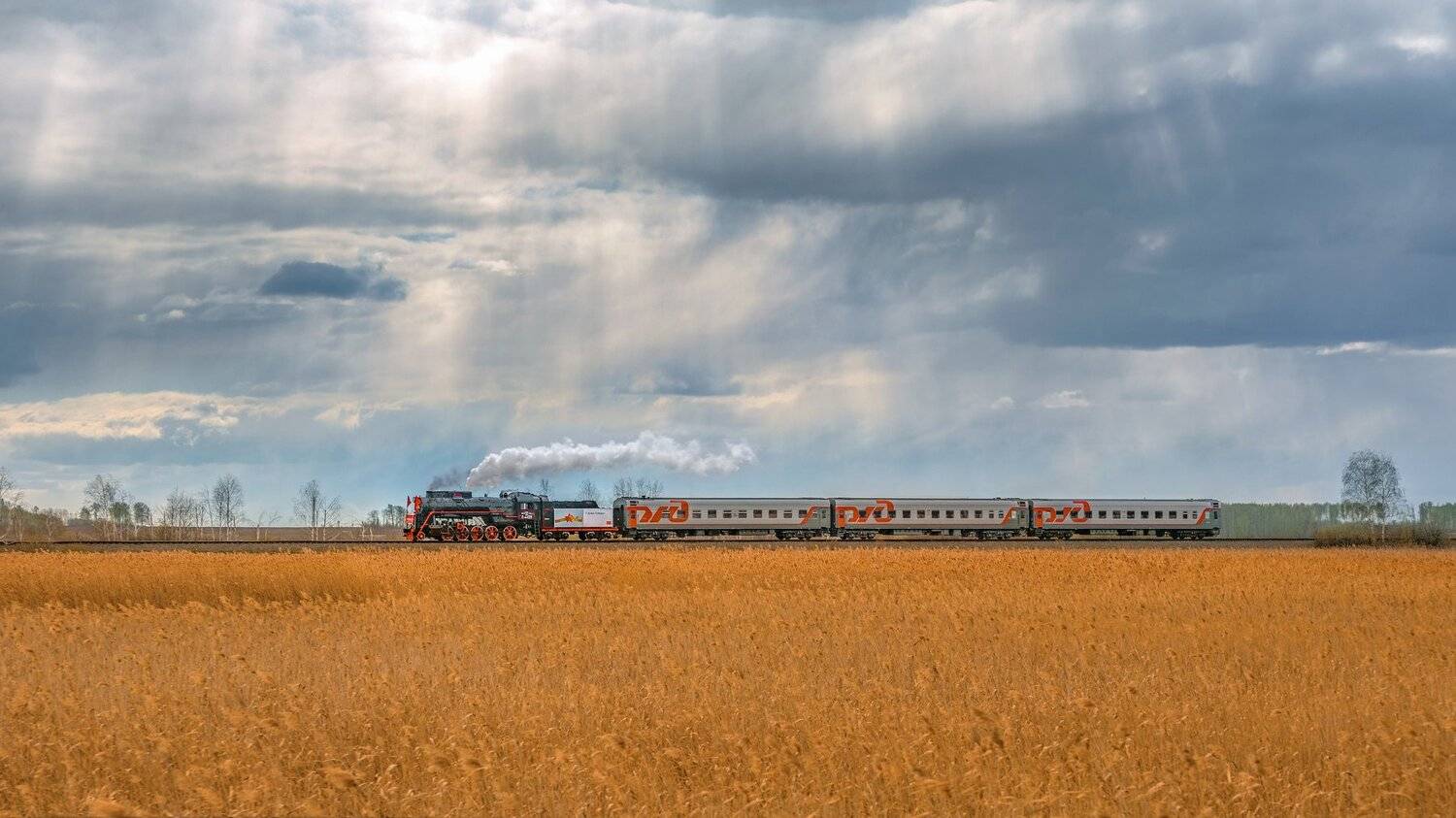 жд, железная дорога, поезд, россия,  пейзаж, skrylov, skrylov_official, паровоз, лето, поле, небо, кыштым, аргаяш, ретро, челябинская область, колосья, Сергей Крылов