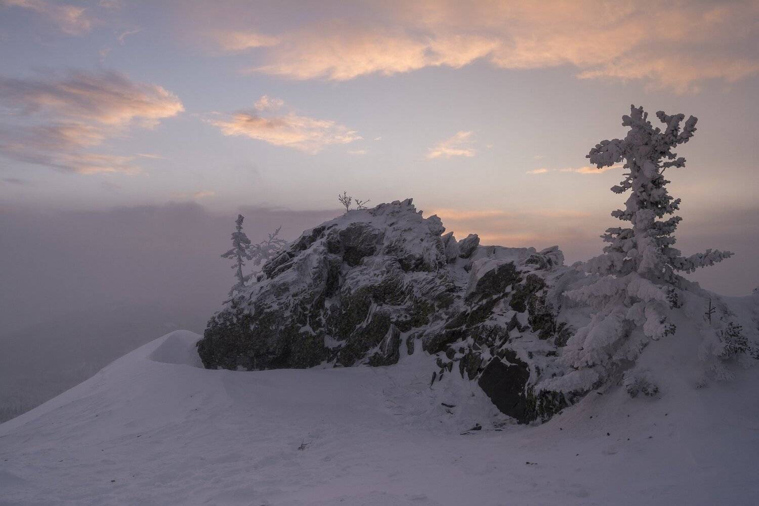 , Андрей Шарапов