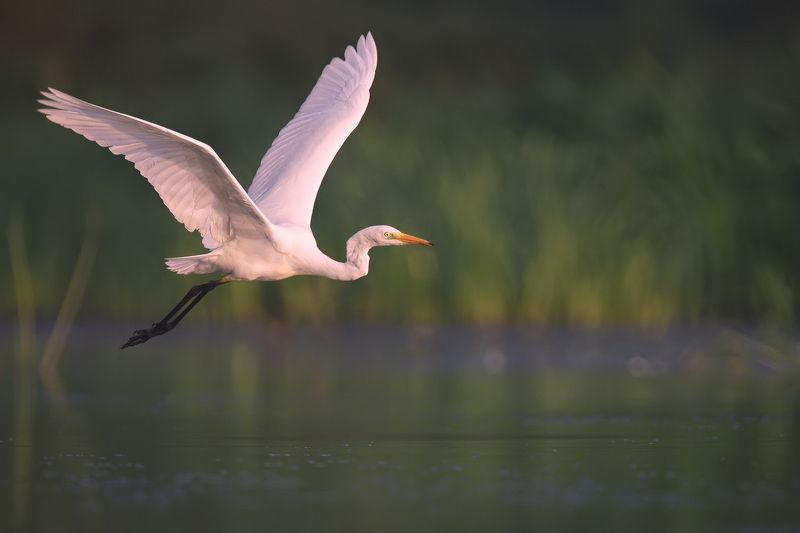 W locie фото превью