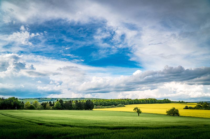 #germany #nature #landscape #travel Rudesheim am Rhein фото превью