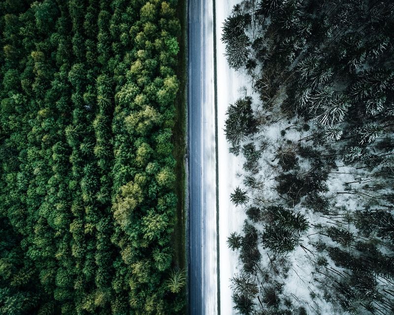 winter is coming фото превью