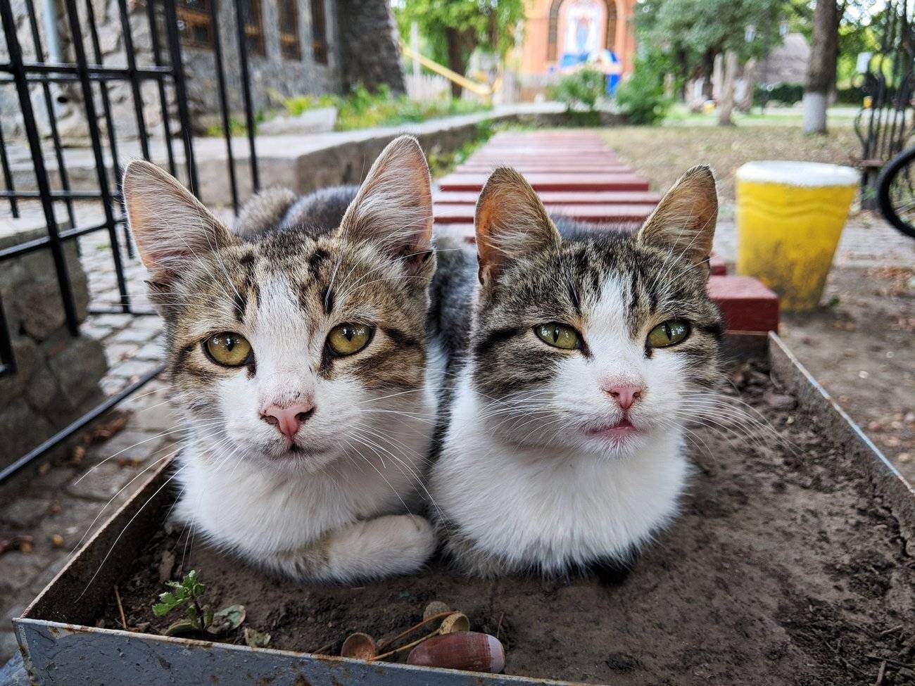 , Сергей Богачёв